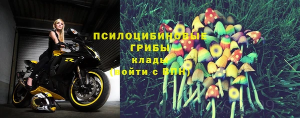 первитин Нея