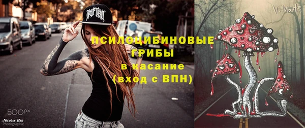 первитин Нея
