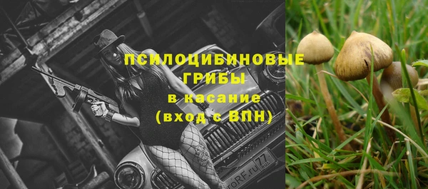первитин Нея