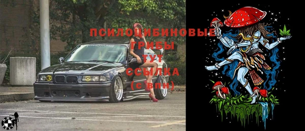 первитин Нея