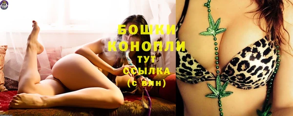 первитин Нея